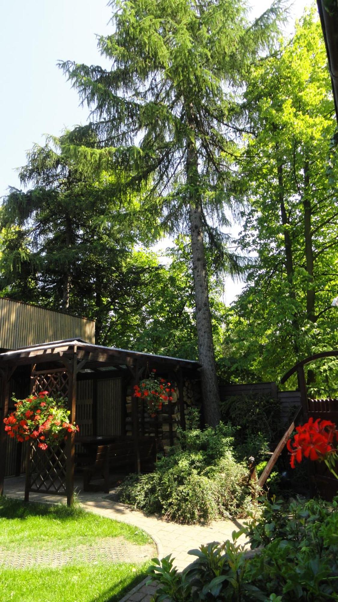 Villa Zosienka Gdansk Exterior foto